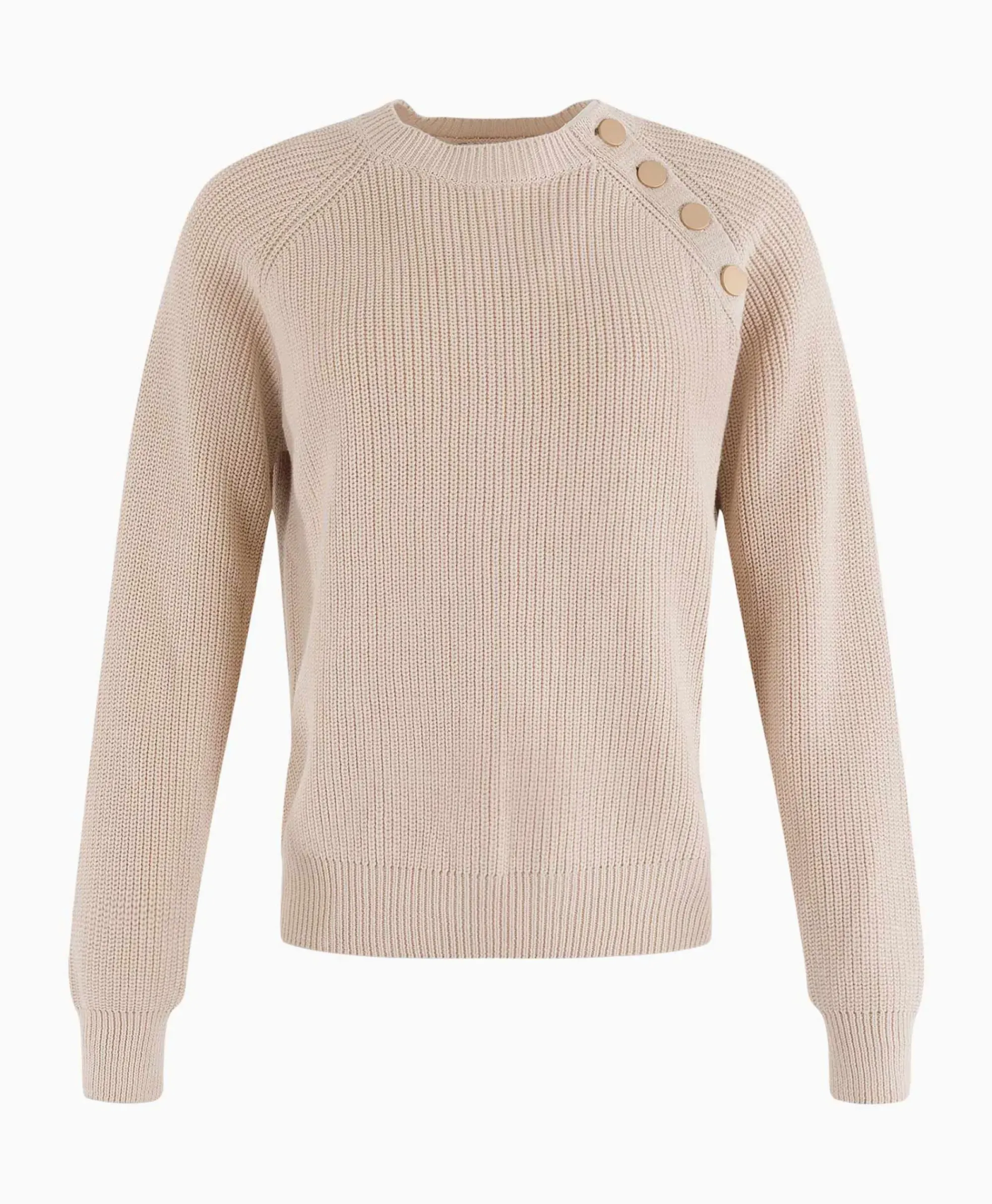 Truien^Anna Van Toor Pullover 21A09-02822 Beige