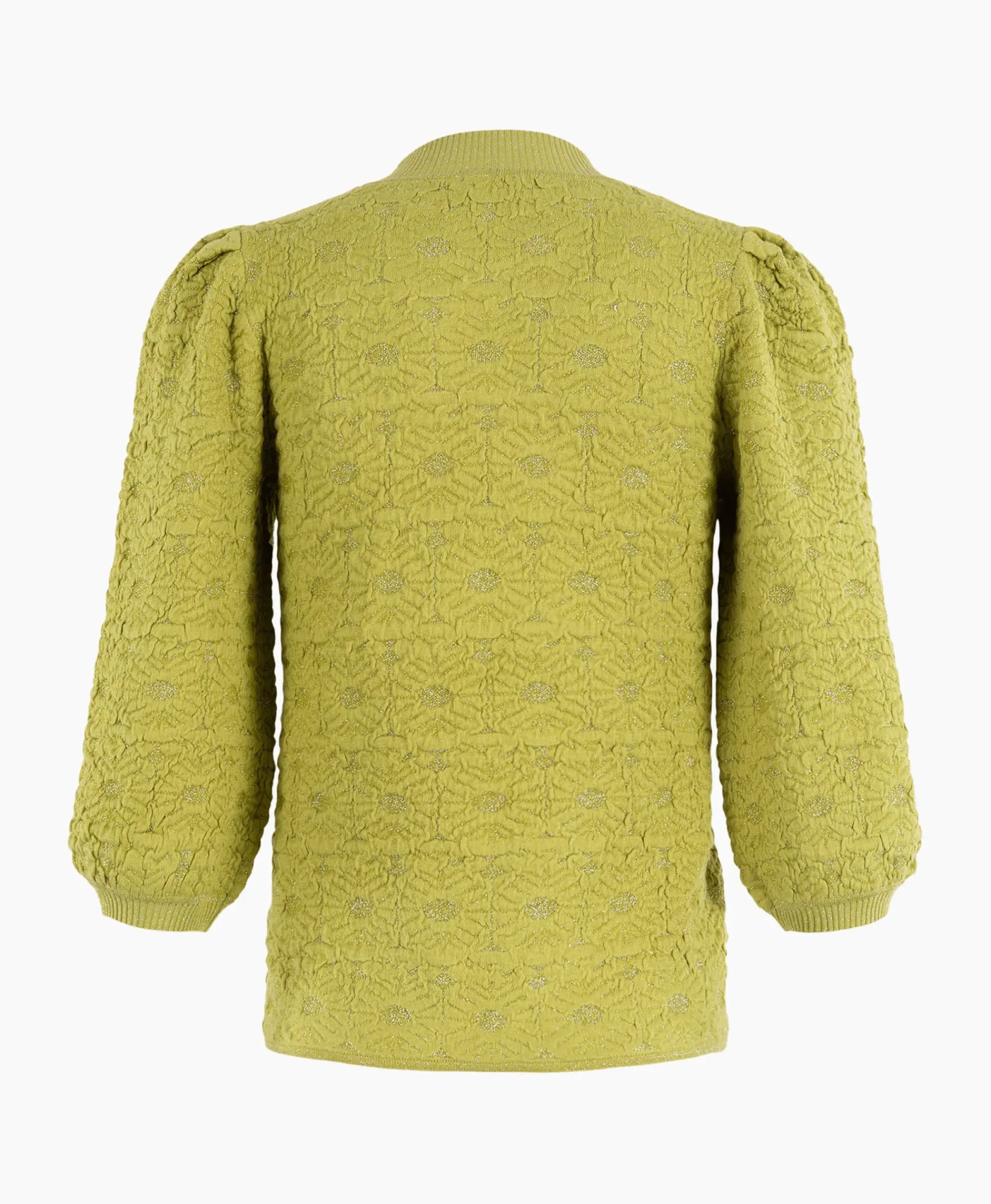 Truien^Anna Van Toor Pullover 34A09-02850 Groen