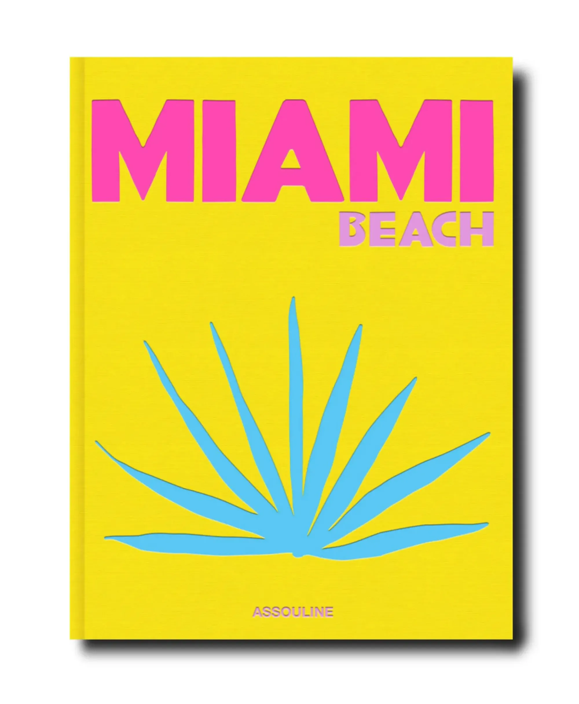 Lifestyle^Assouline Boek Miami Beach Diversen