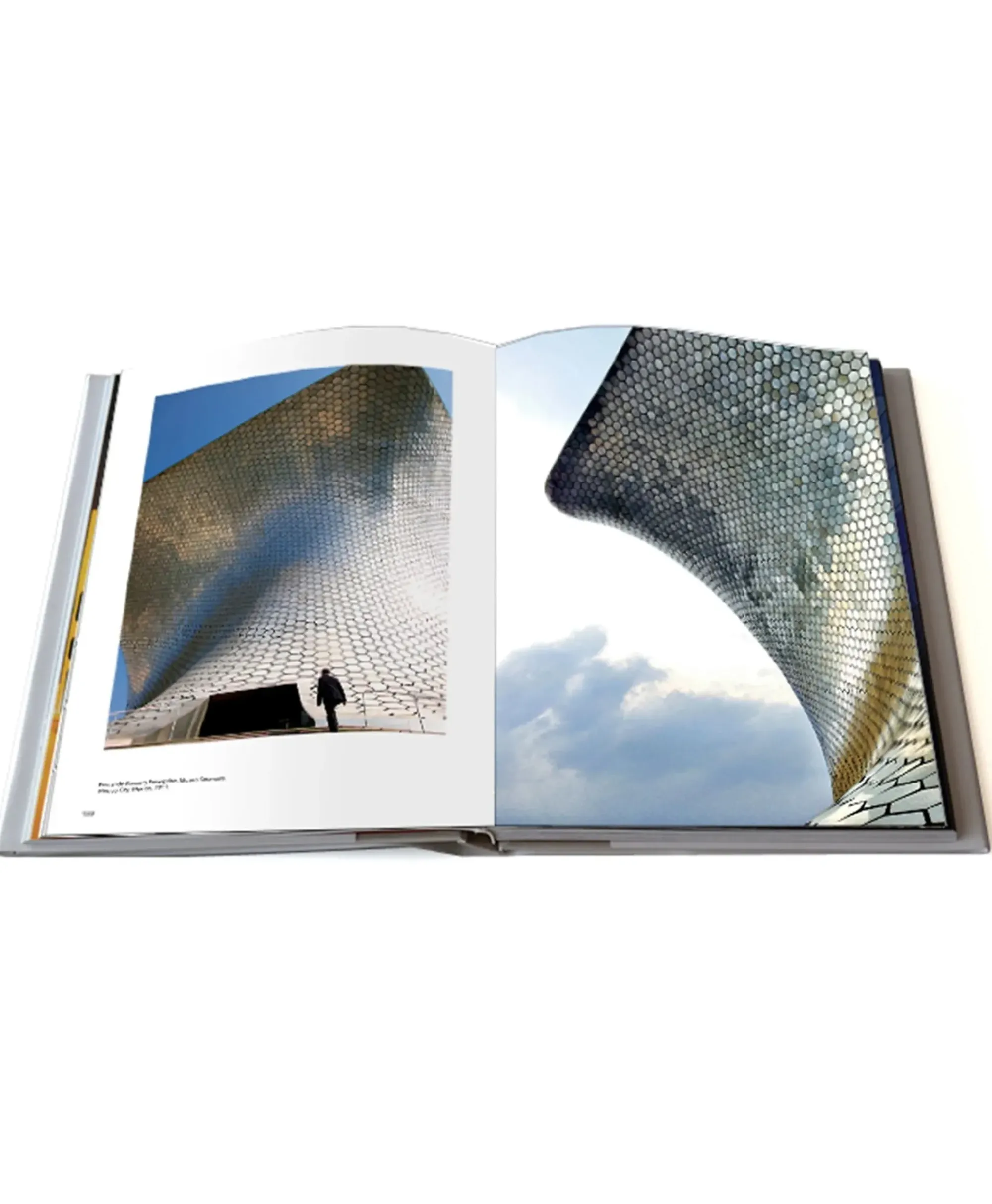 Lifestyle^Assouline Boek Portraits Of The New Architecture 2 Diversen