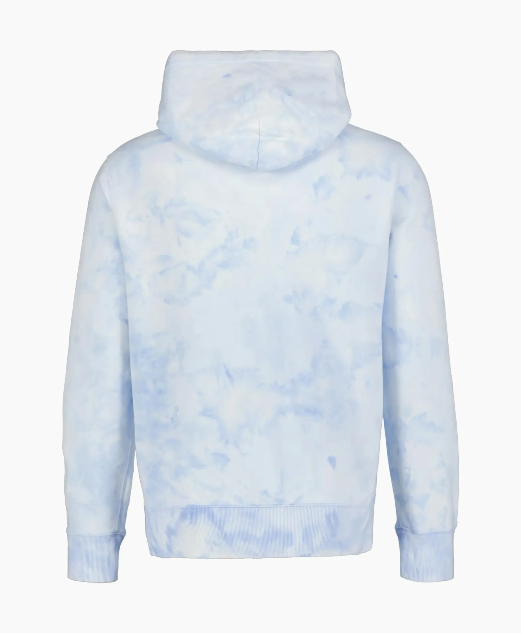 Truien^Ralph Lauren Hoodie Riviera Bear Licht Blauw