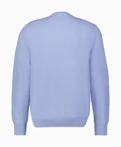 Truien^Ralph Lauren Pullover Cotton Long Sleeve Licht Blauw